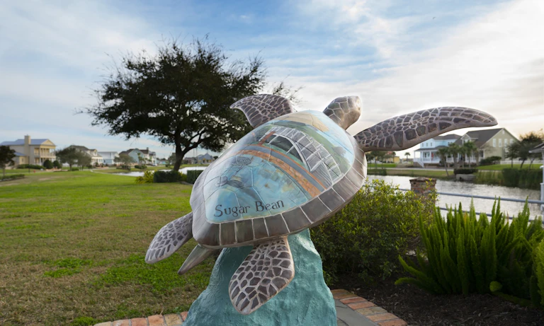 Galveston Island Welcomes the Monarch Master Injectors 2025 Member ...